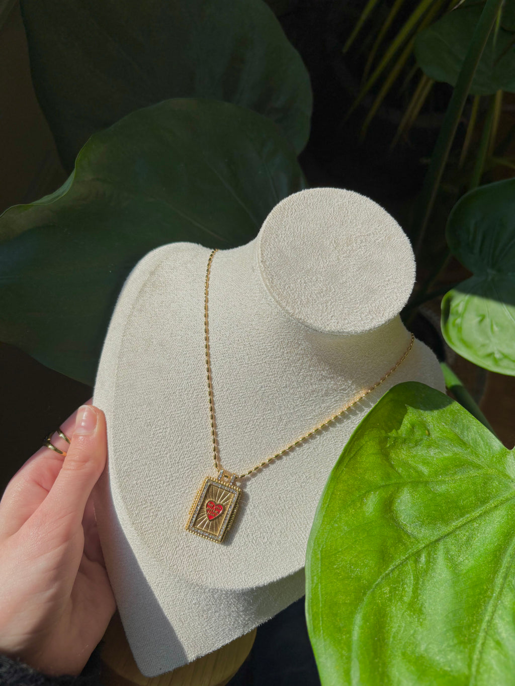 Coffret Amor